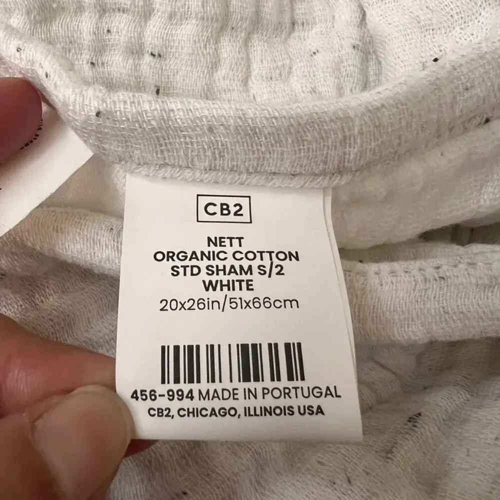 CB2 standard pillow